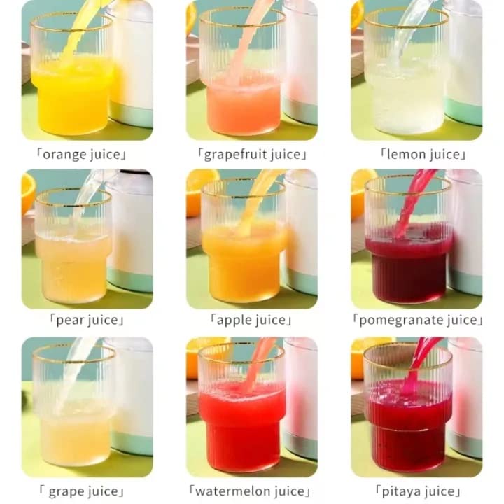 Automatic Multifunction Juicer