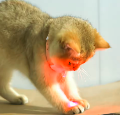 Cat Laser Toy