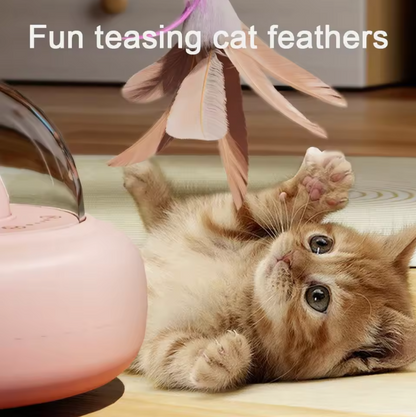 Cat Laser with Feather Toy